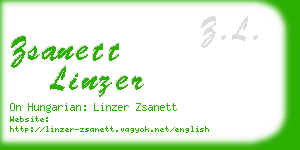 zsanett linzer business card